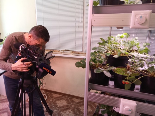 Съемочная группа Первого областного телеканала стала гостем в лаборатории урбанизированного растениеводства ЮУрГАУ
